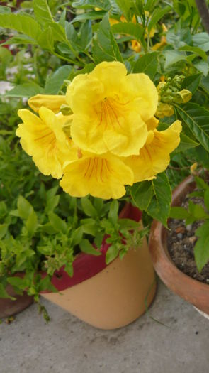 047