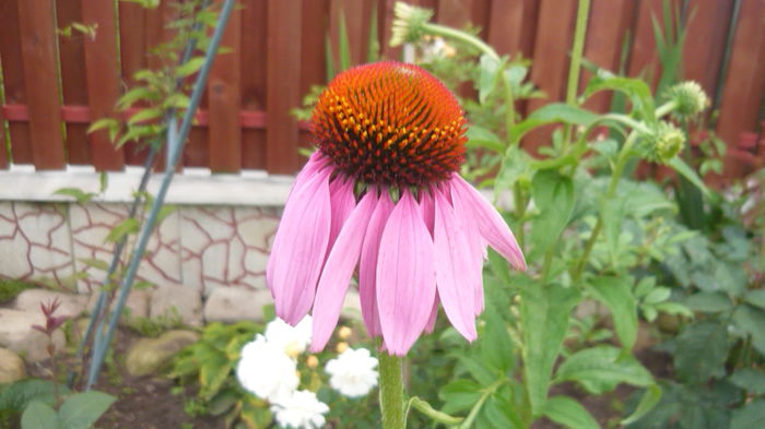 065