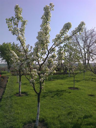 Photo0122