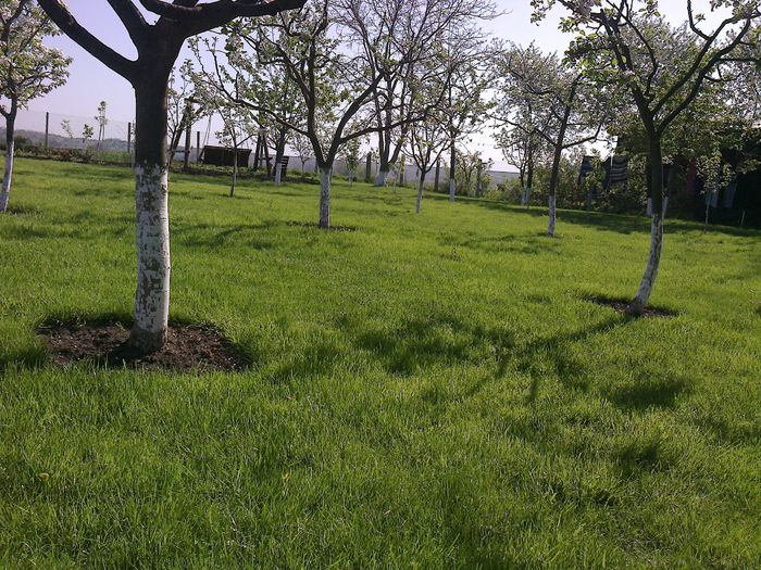 Photo0124