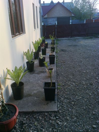 Photo0127