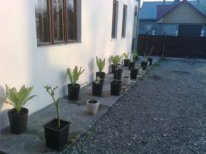 Photo0128
