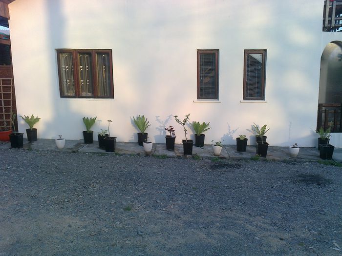 Photo0129