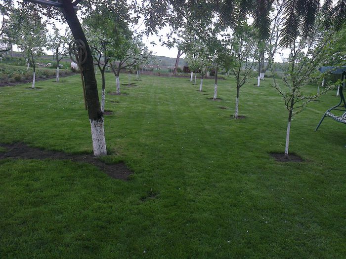 Photo0168