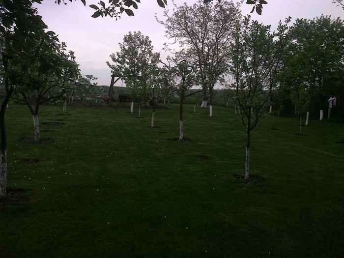 Photo0169