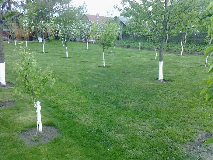 Photo0174