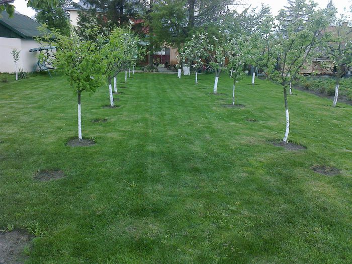 Photo0175