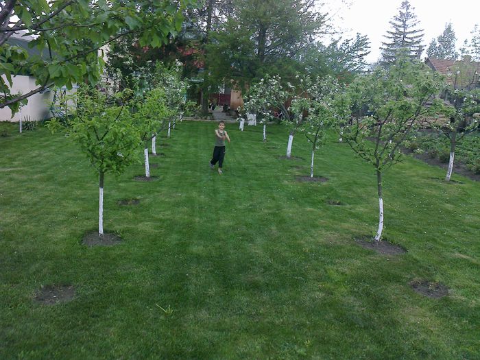 Photo0176