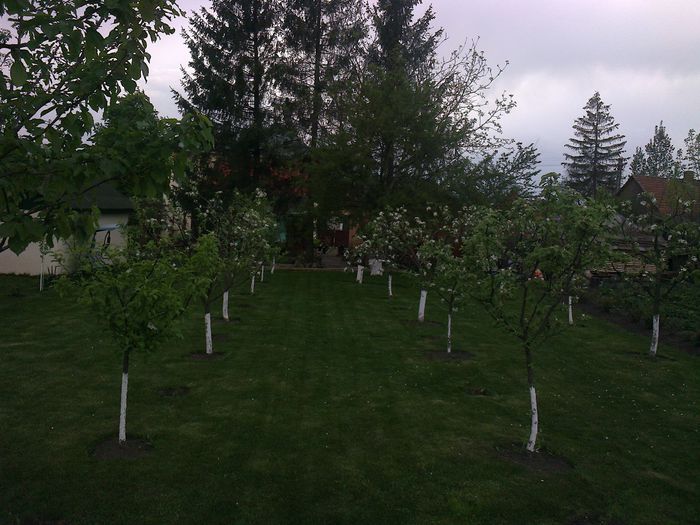 Photo0177