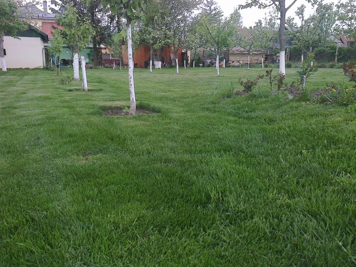 Photo0179