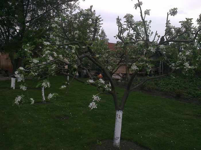 Photo0180