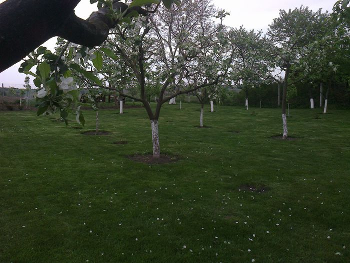 Photo0182