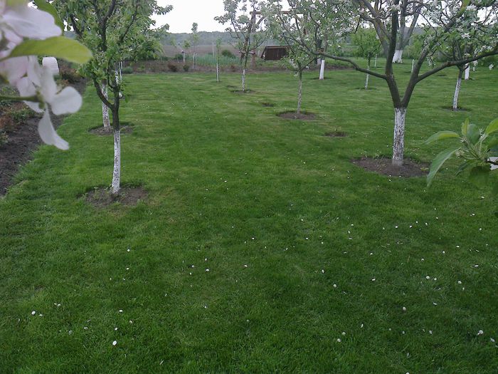 Photo0183