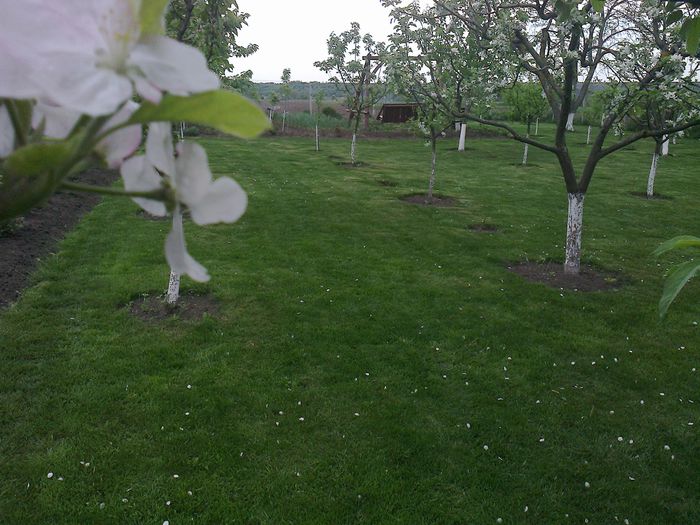Photo0184