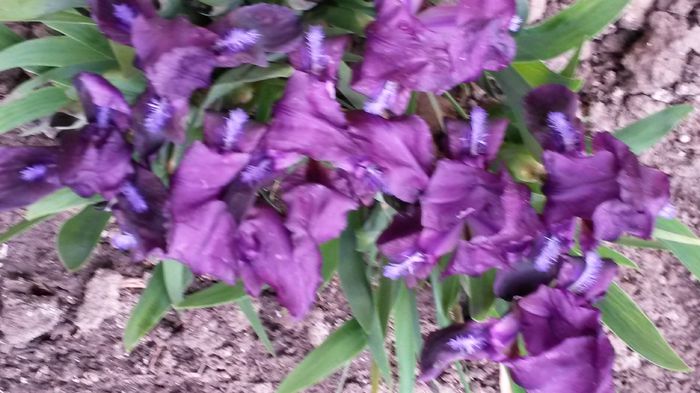 20140410_180730