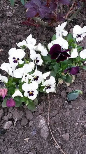 20140410_181256