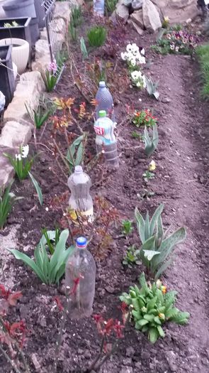 20140410_181329