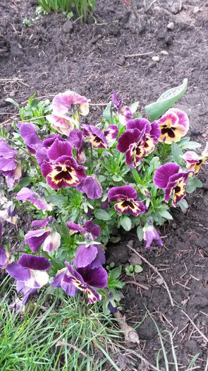 20140416_143234