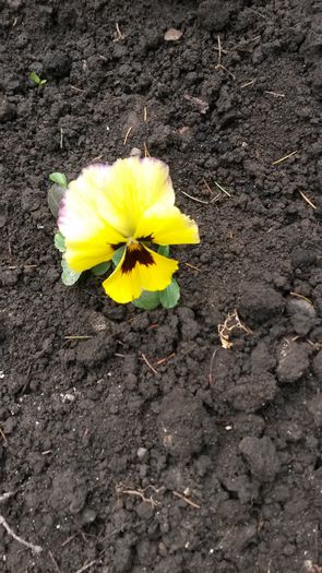 20140416_143326