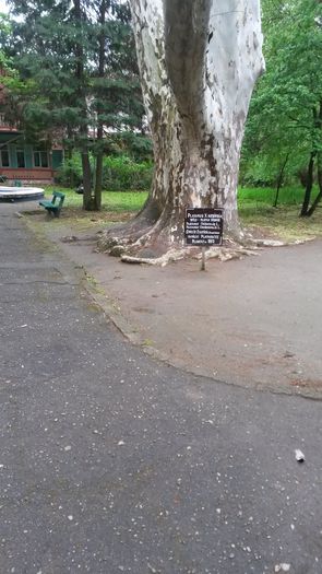 20140417_121824