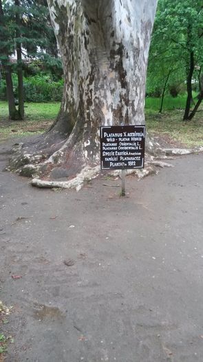 20140417_121831