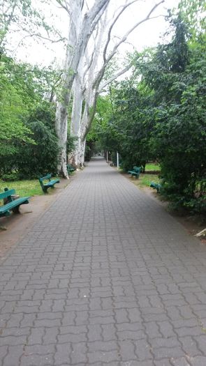 20140417_121902