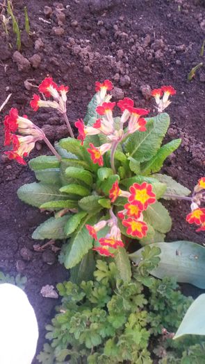 20140420_193013