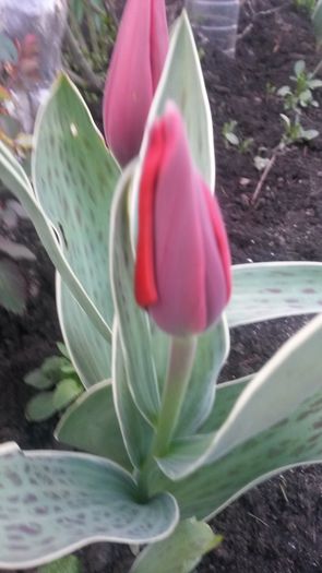 20140420_193243