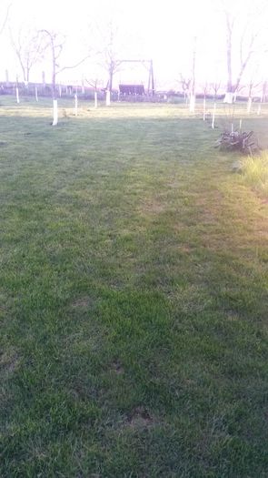 20140420_193359
