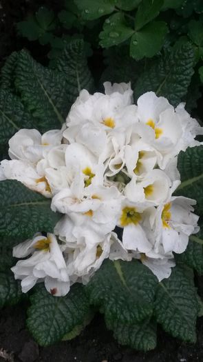 20140425_083533