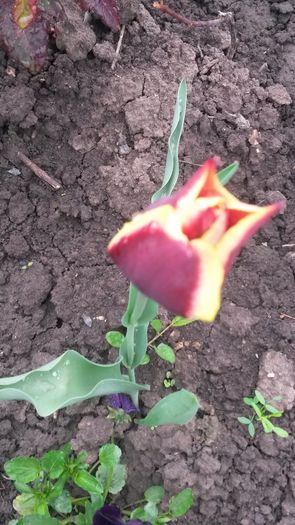 20140425_083734