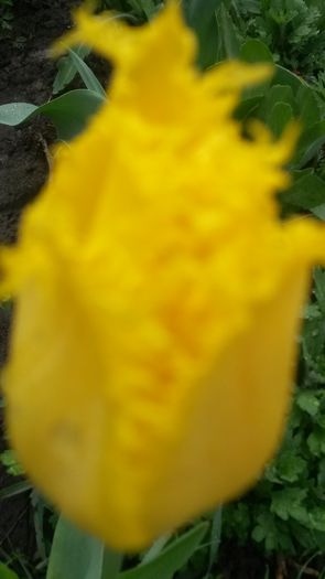 20140425_083914