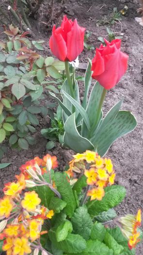 20140425_084013