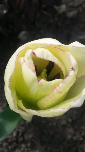 20140425_102018