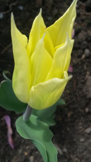 20140425_102026