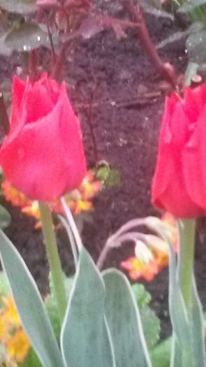 20140425_194136
