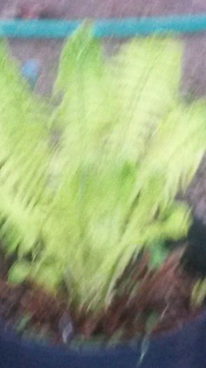 20140425_194153