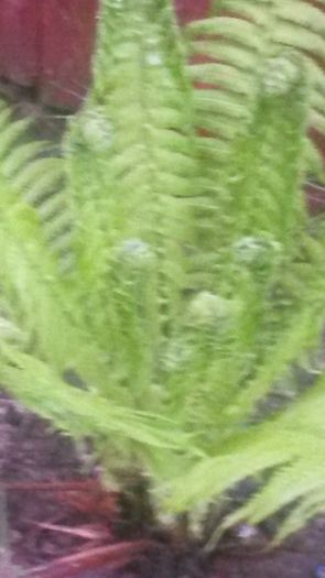 20140425_194310