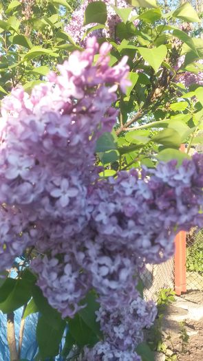 20140506_185659