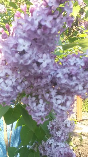 20140506_185703