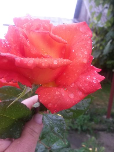 20140617_175031