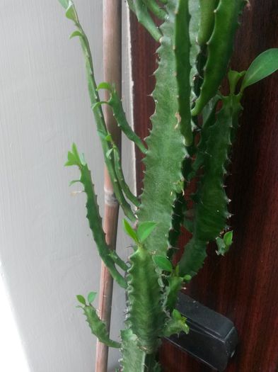 20140618_105230