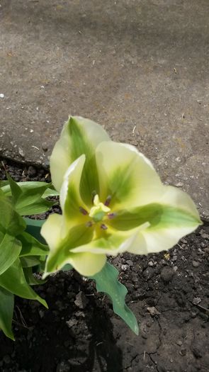 20140426_140322