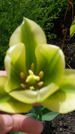 20140426_140338