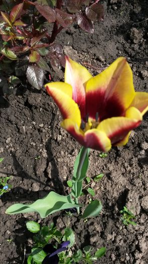 20140426_141106