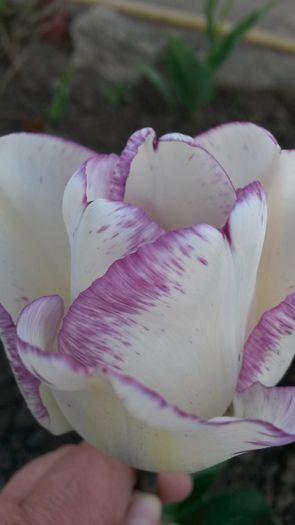 20140427_190858