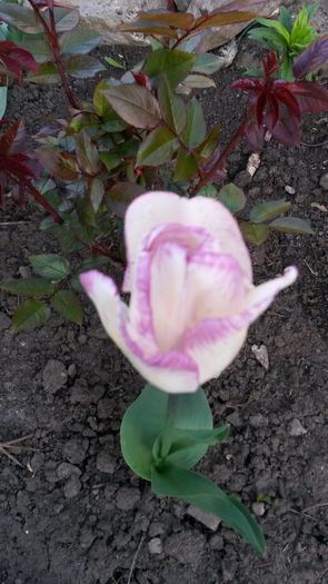 20140427_190940