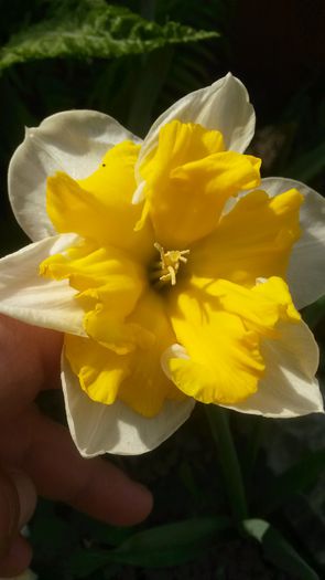 20140503_131815