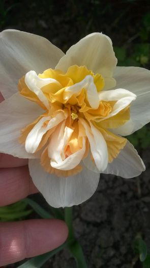 20140503_131820
