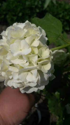 20140503_132017